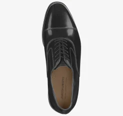 Melton Cap Toe